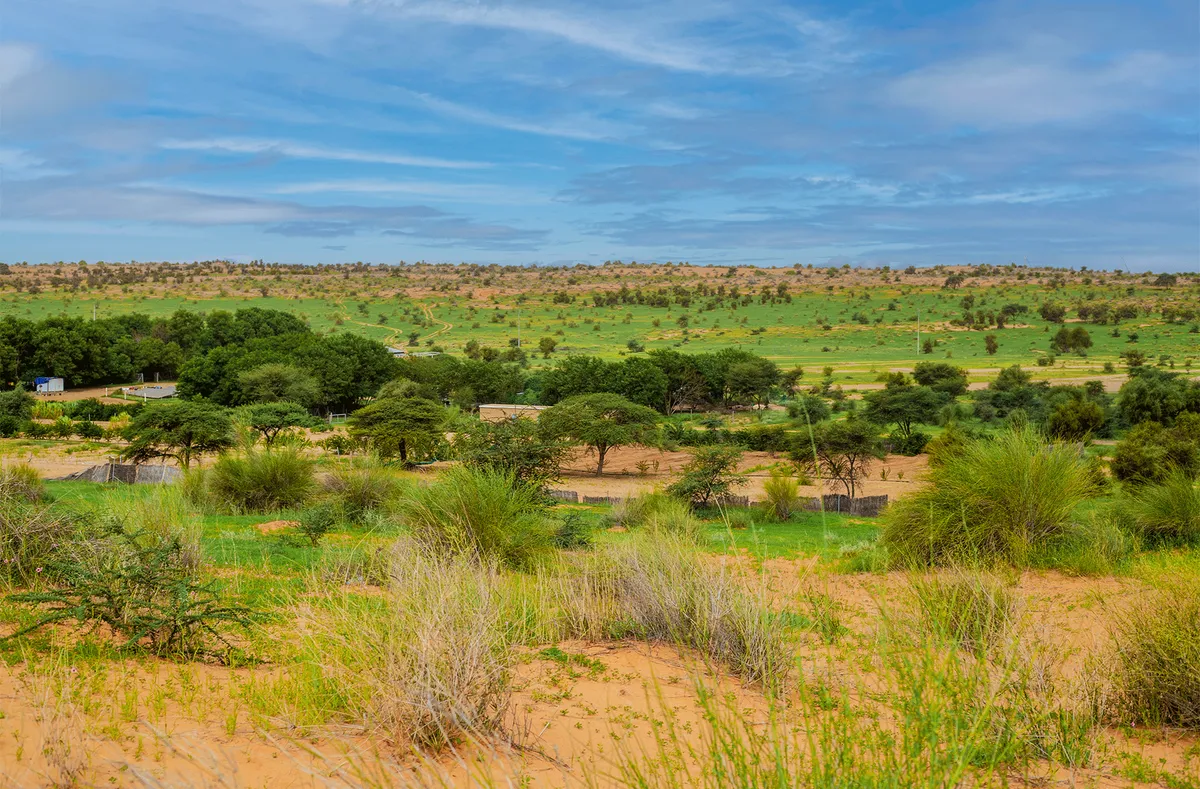 Parc National Awleigatt