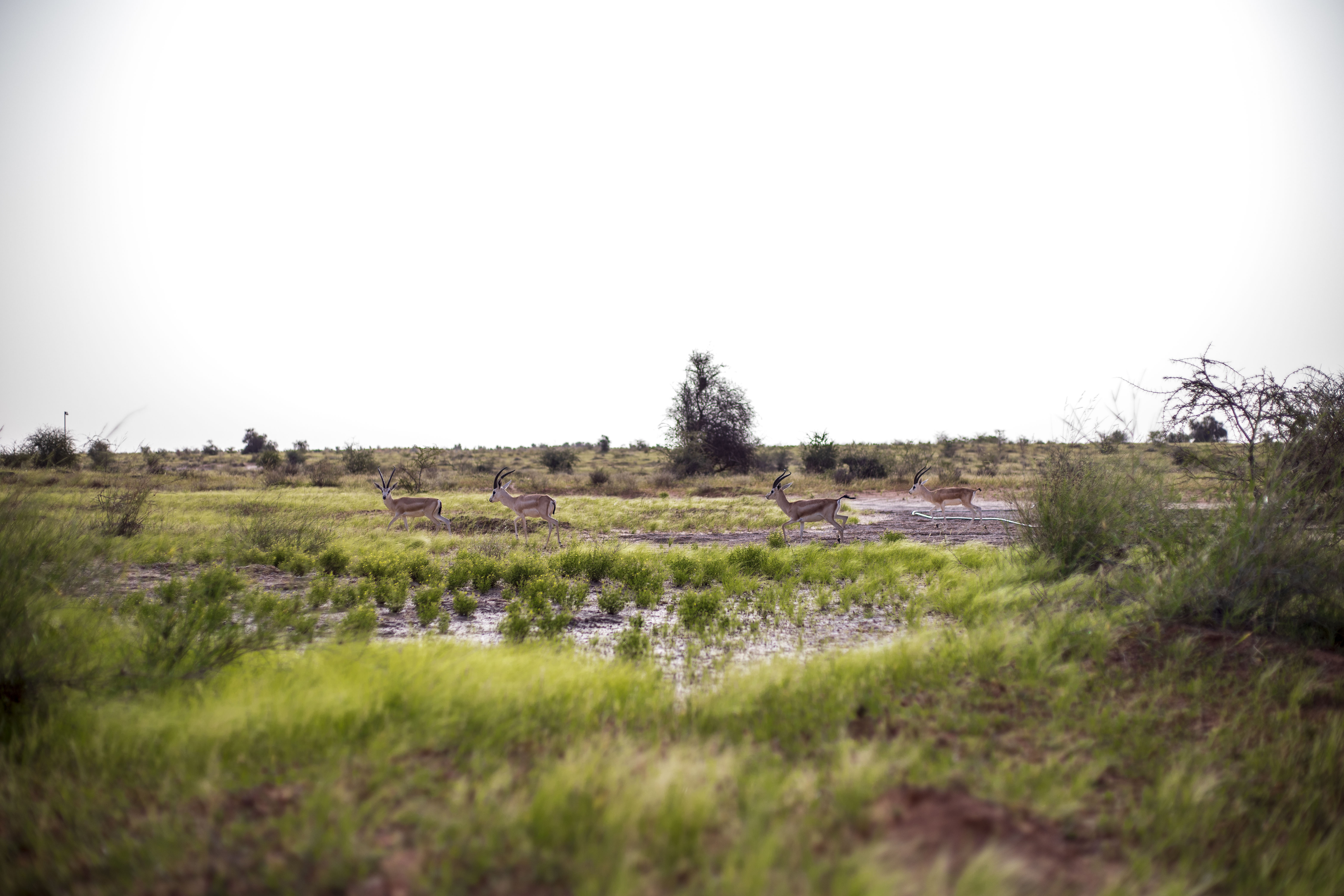 Attractions Parc National