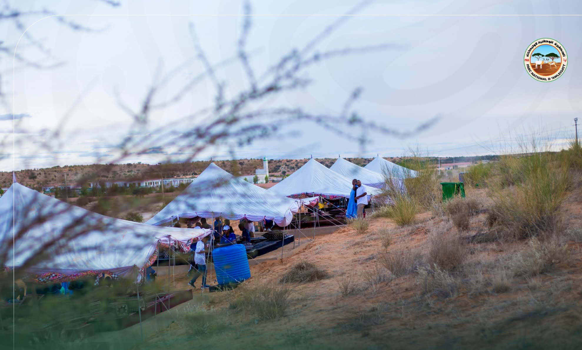 Le Parc National d’Awleigatt accueille la colonie de vacances des enfants des employés de la SNIM
