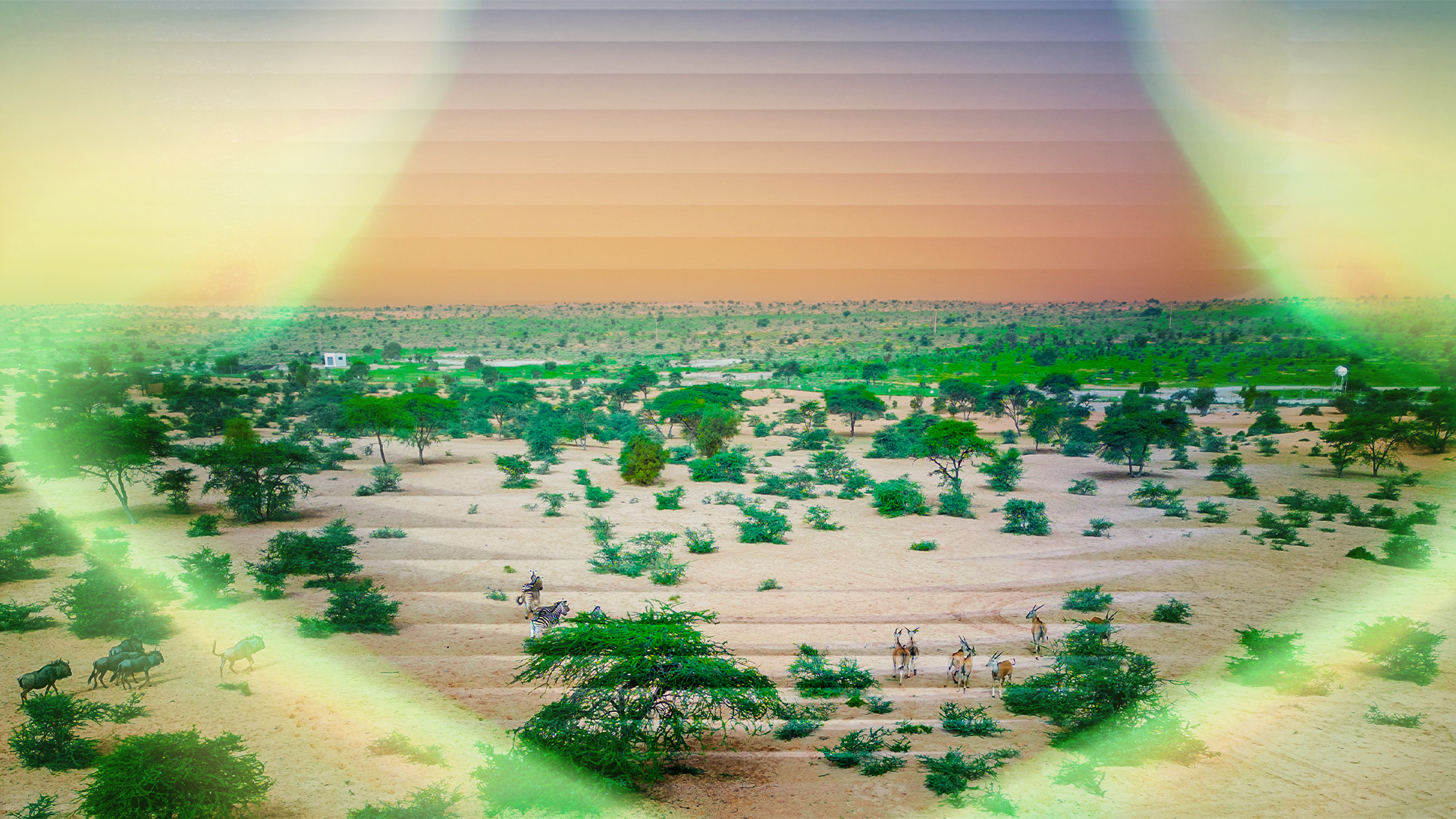 Paysage du parc